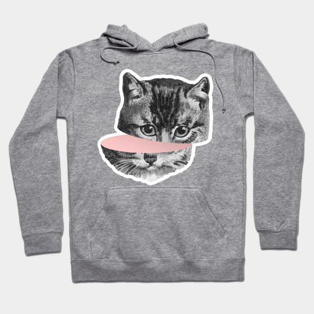 Cat clearance face hoodie